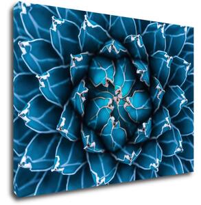 Impresi Tablou Blue blossom - 70 x 50 cm