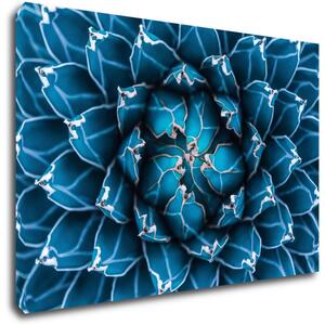 Impresi Tablou Blue blossom - 60 x 40 cm
