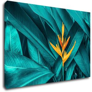 Impresi Tablou Orange blossom - 60 x 40 cm