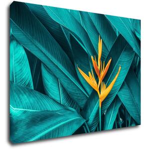 Impresi Tablou Orange blossom - 70 x 50 cm