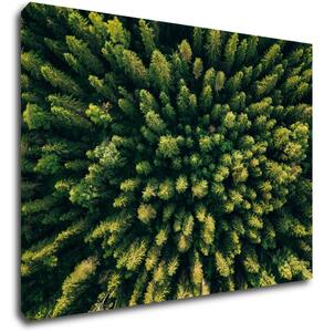 Impresi Tablou Forest - 70 x 50 cm