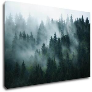 Impresi Tablou Fogy forest - 60 x 40 cm