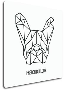 Impresi Tablou French Bulldog White Background - 40 x 40 cm