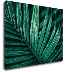 Impresi Tablou Green leaf with drops of water - 90 x 70 cm