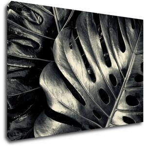 Impresi Tablou Black and white leafs - 60 x 40 cm