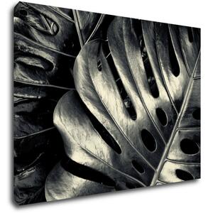 Impresi Tablou Black and white leafs - 70 x 50 cm
