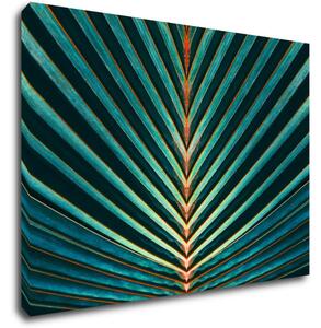 Impresi Tablou Palm leaf - 70 x 50 cm