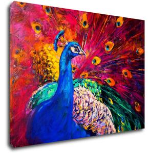 Impresi Tablou Colorful Peacock - 70 x 50 cm