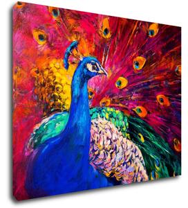 Impresi Tablou Colorful Peacock - 90 x 70 cm