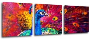 Impresi Tablou Colorful Peacock - 90 x 30 cm (3-piese)