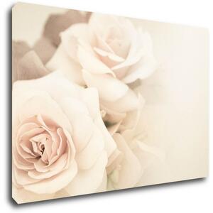 Impresi Tablou White roses - 60 x 40 cm