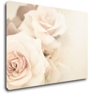 Impresi Tablou White roses - 70 x 50 cm
