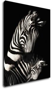 Impresi Tablou Zebras black and white - 70 x 90 cm