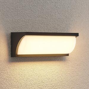 Lucande Aune LED în aer liber cu lumină de perete, Negru, Metal, Modern