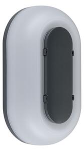 Paulmann 94957 - LED/18,5W IP65 Aplică de perete pentru exterior, dimmabilă ELUNOR 230V