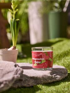Sinsay - Lumânare parfumată Watermelon Sugar - roșu
