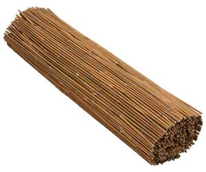 Gard de bambus, 500x100 cm