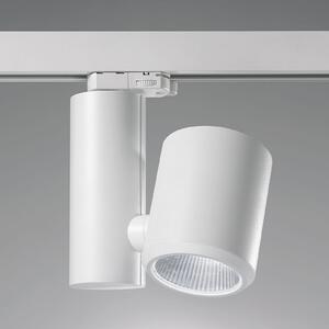 Egger Licht EGG DLS LED reflector cu șină Kent, alb, 4.000 K 26°, Alb, Hol, Metal, Modern
