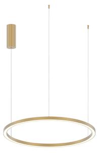 Luce Ambiente Design Lampă suspendată LED Hoop, aurie, Ø 80 cm, metal, CCT, Auriu / Alamă, Camera de zi / sufragerie, Aluminiu, Modern