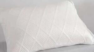 Perna visco, Homs 50 x 70 cm.00200
