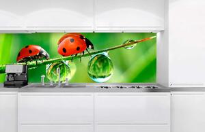 Fototapet pentru bucătărie - buburuză 180 x 60 cm