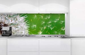 Fototapet pentru bucătărie - păpădie 180 x 60 cm