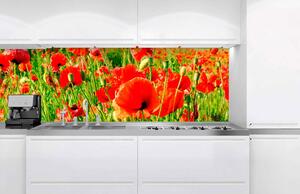Fototapet pentru bucătărie - mac roșii 180 x 60 cm