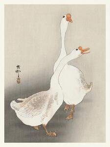 Reproducere Two Geese (Japandi Vintage) - Ohara Koson, (30 x 40 cm)