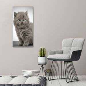 Imprimare tablou canvas pisică gri britanic