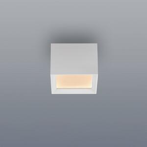 PURE Plafonieră LED Manhatten, alb zăpadă, 1 bec, CCT, reglabil, Alb, Hol, Aluminiu, Modern