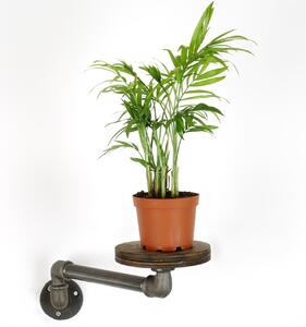 Jardinieră BORURAF261 Argintiu 35x12x10 cm