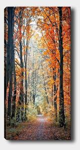 Tablou 451ERN1858, multicolor, panza, 50x120 cm