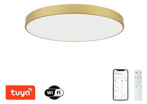 Brilagi - Corp de iluminat LED reglabil POOL SMART LED/100W/230V 80 cm auriu Wi-Fi Tuya+telecomandă