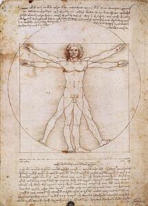 Imprimare de artă Omul vitruvian, Leonardo Da Vinci, (50 x 70 cm)