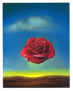 Imprimare de artă Meditative Rose, 1958, Salvador Dalí, (24 x 30 cm)