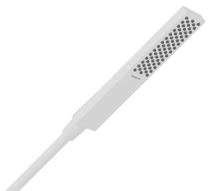 Hansgrohe Pulsify E duș de mână alb 24320700