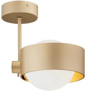 Argon Massimo Plus lampă de tavan 1x6 W alb-auriu 8568