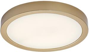 Rabalux Shaun Plus plafoniera de exterior 1x30 W auriu 75079