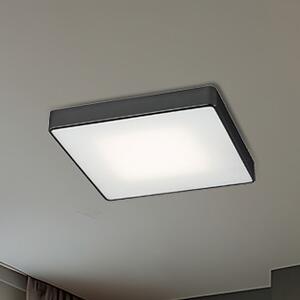 Argon Ontario plafon 4x15 W negru 1580
