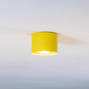 Argon Spot de tavan Chloe fix, galben, reglabil, Galben, Camera de zi / sufragerie, Metal, Modern