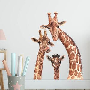 Impresi Autocolant pentru camera copilului Cute giraffes - 60x40cm