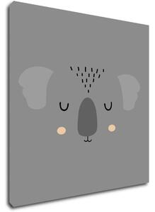 Impresi Obraz Little koala - 20 x 20 cm