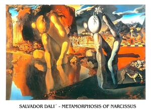 Imprimare de artă Metamorphosis of Narcissus, 1937, Salvador Dalí