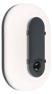 Paulmann 94958 - LED/18,5W IP65 Aplică de perete pentru exterior reglabilă ELUNOR 230V
