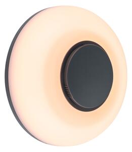 Paulmann 94955 - LED/20,5W IP65 Aplică de perete pentru exterior reglabilă AUREVA 230V