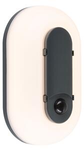 Paulmann 94958 - LED/18,5W IP65 Aplică de perete pentru exterior reglabilă ELUNOR 230V
