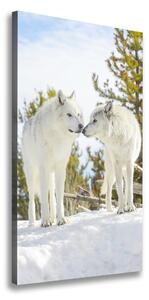 Imprimare tablou canvas Doi lupi albi