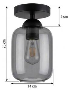 BRILAGI - Plafonieră LED R GLASS 1xE27/60W/230V diam. 14 cm negru/gri fumuriu
