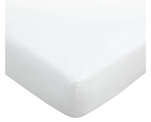 Cearceaf alb din bumbac egiptean cu elastic 90x190 cm – Bianca