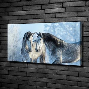 Pictură pe pânză cai gri de iarnă